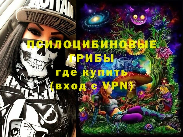 амф Арсеньев