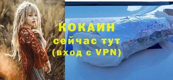 амф Арсеньев