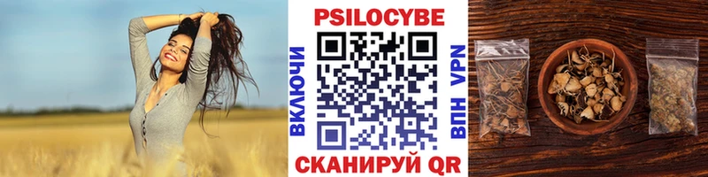 Галлюциногенные грибы мухоморы  MEGA ССЫЛКА  Партизанск 